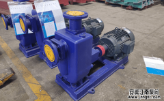 簡述化工自吸泵產品的特點優勢