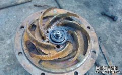 全面解析氟合金化工泵氣蝕現象!