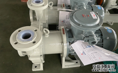 如何選擇耐酸堿臥式磁力泵?